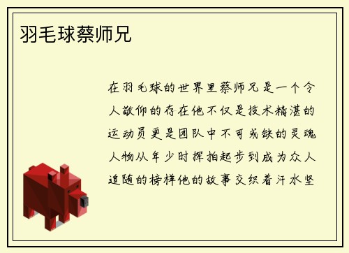 羽毛球蔡师兄